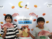 IMG_8576^-1