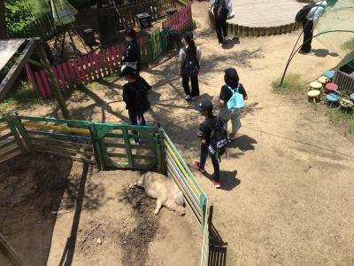 ふれあい動物園